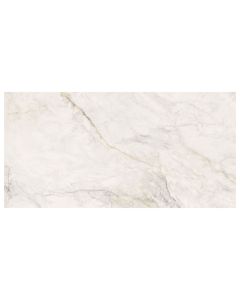 APUANO ORO 24X48 POLISHED RECTIFIED