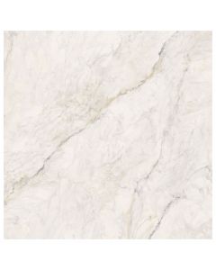 APUANO ORO 48x48 POLISHED RECTIFIED