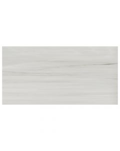 BEYOND DOLOMITE 24x48 GRAY POLISHED