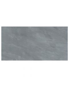 OUTDOOR PAVER 24X48 BLUESTONE