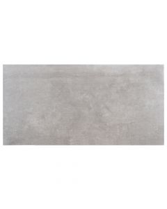 Fusion 12x24 Silver Natural