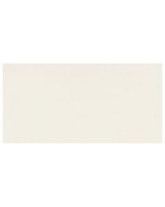 SHADES 2.0 12X24 FROST UNPOLISHED