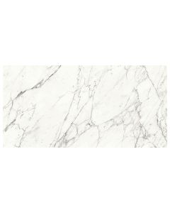 TRILOGY 24X48 CALACATTA MATTE