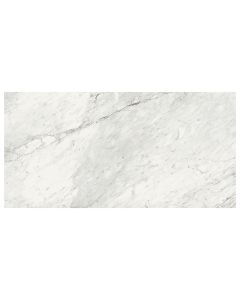 TRILOGY 24X48 CARRARA CLASSIC MATTE